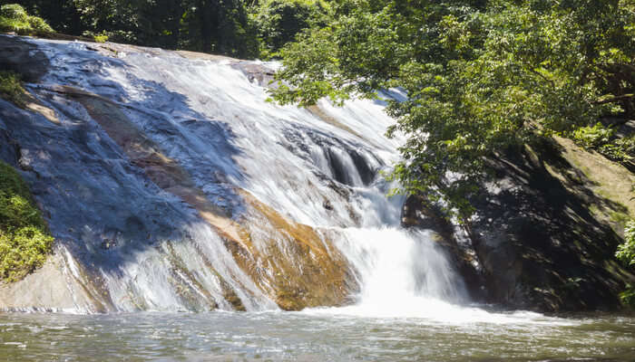 Best Waterfalls in Palakkad