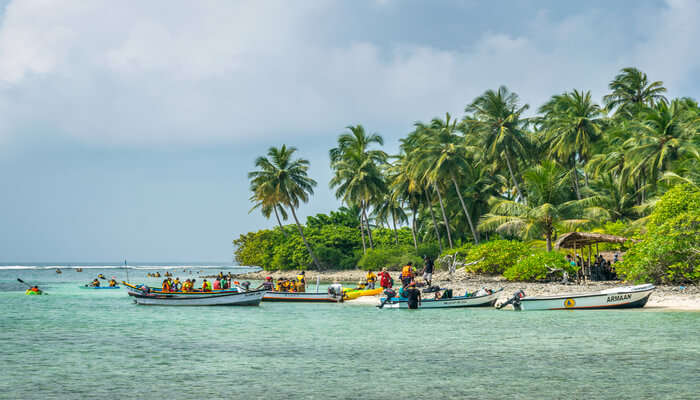 laccadive islands