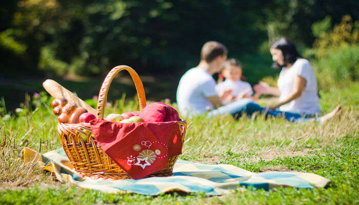 picnic