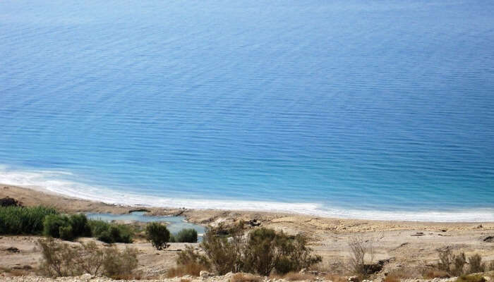 dead sea