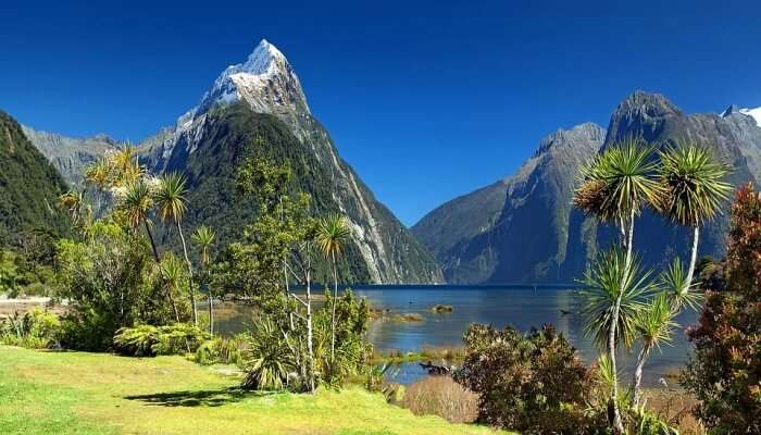 visiting-new-zealand-in-may-will-be-an-unforgettable-experience