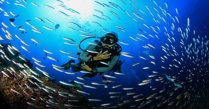 Best Scuba Diving & Water Sports At Fort Island, Malvan