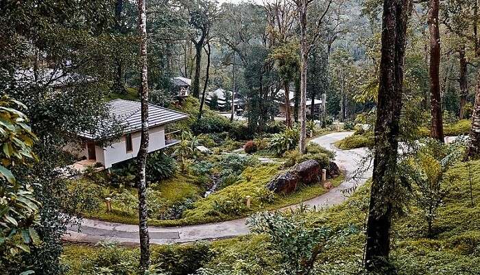 Coorg
