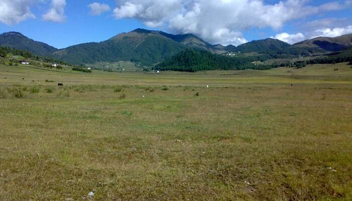 Phobjikha Valley