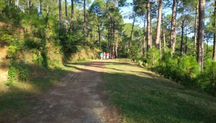 Picnic Spots near Kasauli