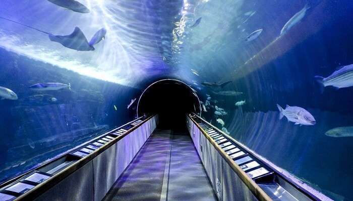 SeaWorld Ancol