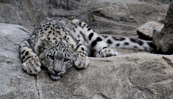 Wildlife Sanctuary