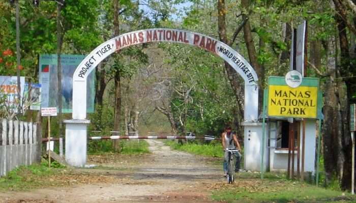 manas wildlife sanctuary