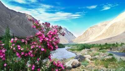 A splendid colorful view of Ladakh which is one of the best solo female travel destinations in India