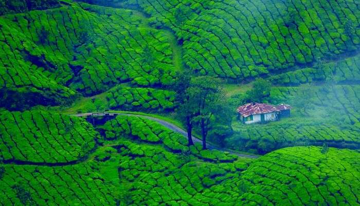 Munnar