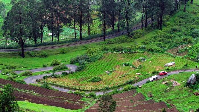 A mesmerising view of Ooty landscapes which is one of the best places to visit in winter in India