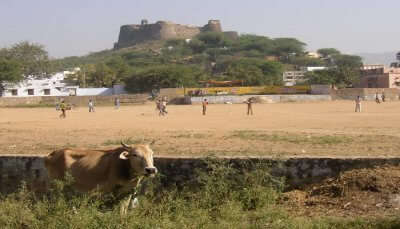 Achrol Fort View