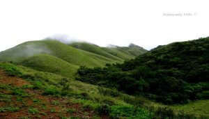 Attappaddy hills