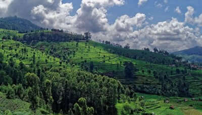 Kotagiri Hills in Nilgiri