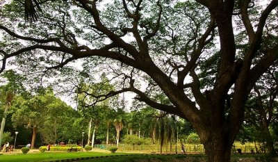 Lalbagh Botanical Garden