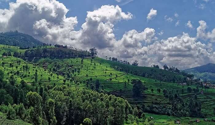 kotagiri places to visit with family