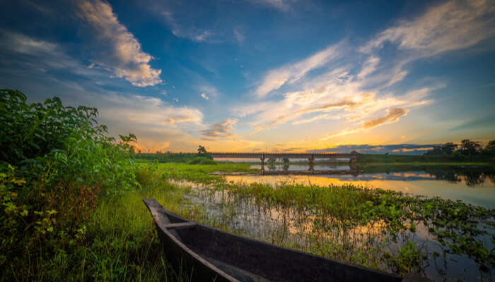 farm view