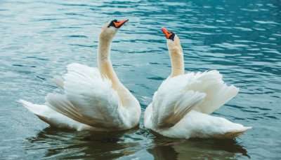 Moti Jheel