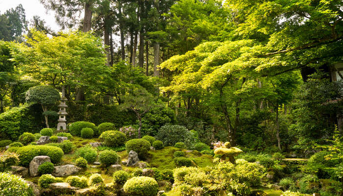 Moss Garden at Saihoji Temple, Kyoto - Japan Travel Guide 