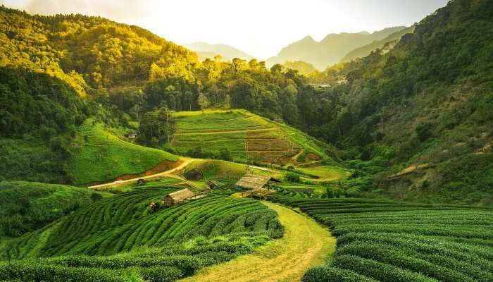 this is the best place to visit