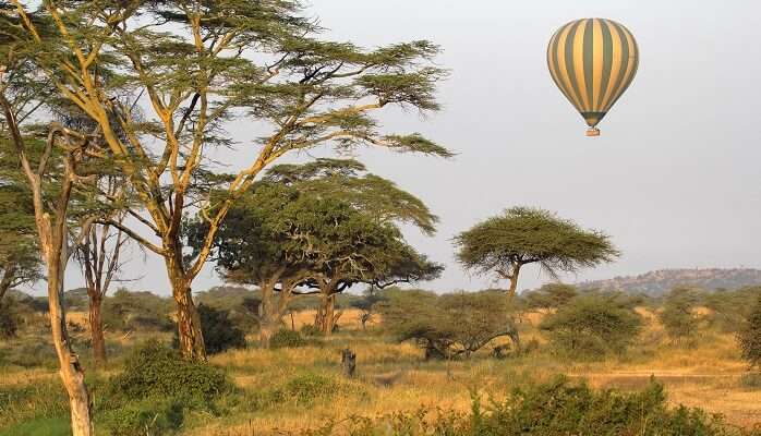First Hot Air Balloon Wildlife Safar