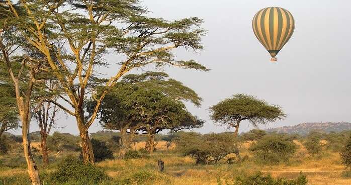 Hot Air Balloon Wildlife Safari At Bandhavgarh Tiger Reserve