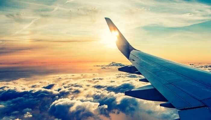You can take flight