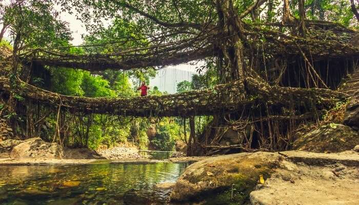 Places To Visit In Meghalaya