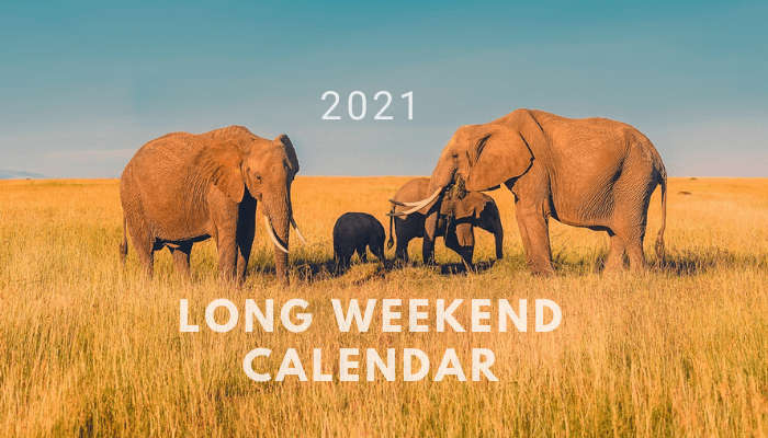 Long weekends in 2022 cover image