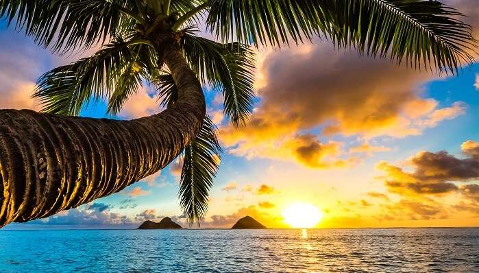 Beautiful Sunrise In Hawaii