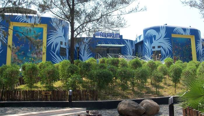 Visit Jagdishchandra Bose Aquarium, one of the best places to visit in Surat