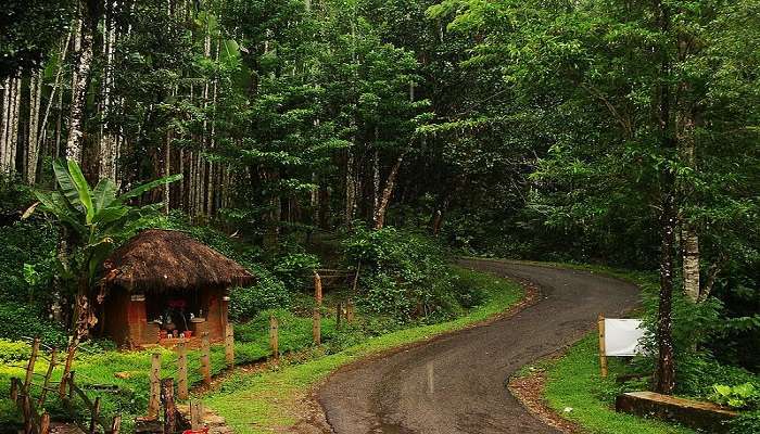 Agumbe is one of the best places to cherish monsoon in Karnataka