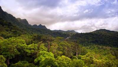 Disover this top places to visit in langkawi for thrilling Zipline Adventure.