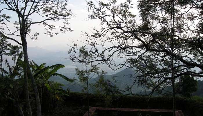 Tipperary Estate, among the best Yercaud attractions 
