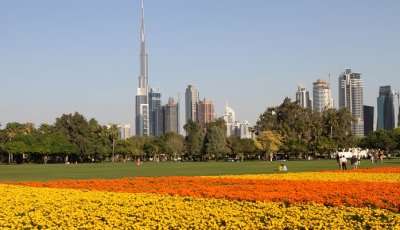 Dubai picnic points