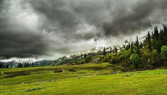 An enchanting view of Gulmarg in Kashmir