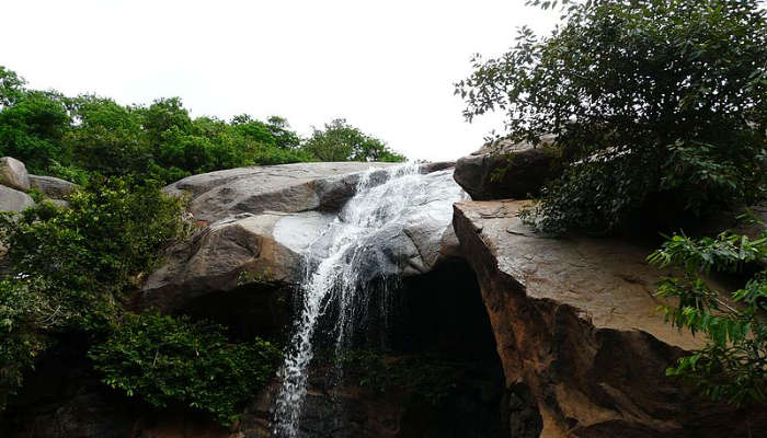 Enjoy the majestic waterfalls and abundant wildlife at one of the places to visit in Yelagiri