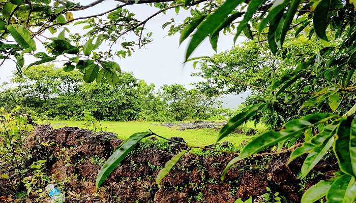 Lonar - places to visit near Nagpur