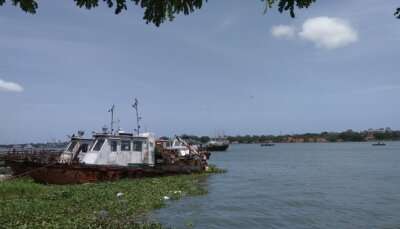 Boats in Ernakulam backwaters
