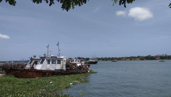 Best Places to Visit Near Ernakulam: Nature Escapes, Heritage Gems & Weekend Wonders
