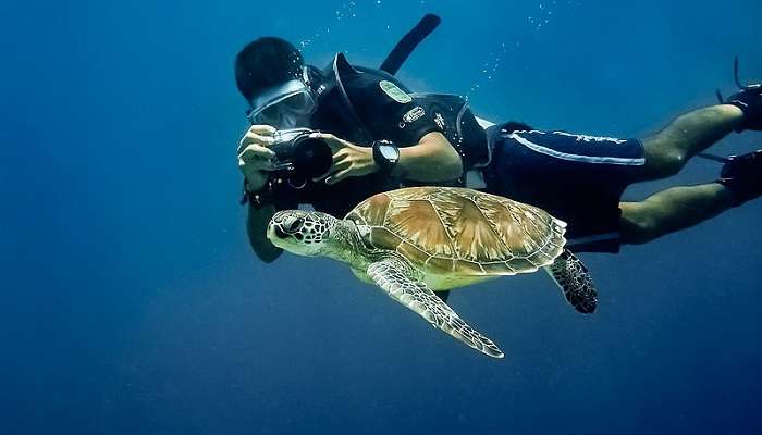 Snorkelling And Scuba is the famous diving courses in Malaysia