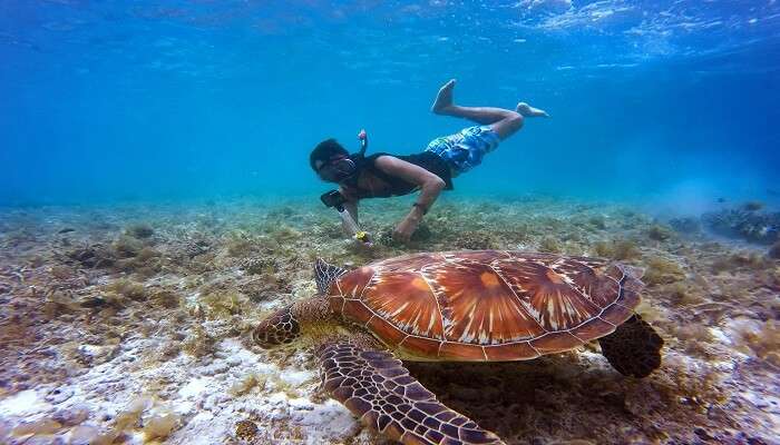 Snorkeling in Bangkok