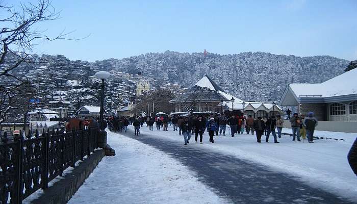 camping in Shimla