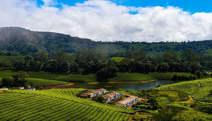 A scenic view of the old Meghamalai tea factory