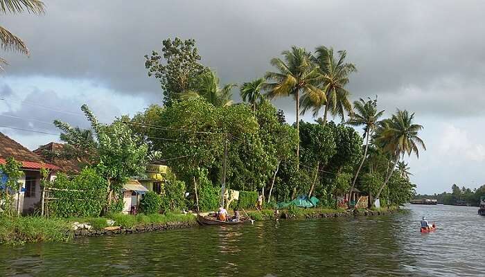 Alleppey Honeymoon