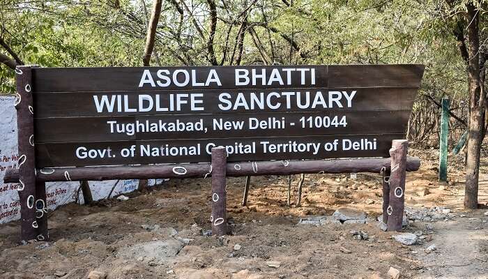 Bhardwaj Lake at Asola Bhatti Wildlife Sanctuary