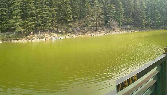 Dal Lake, among the best places to visit in Khajjiar.