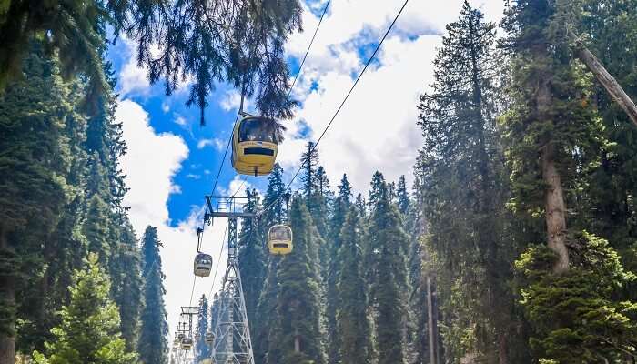 Visit Gulmarg in summer to have a lifetime experience.