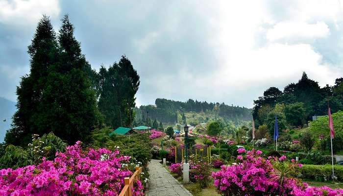 An amazing view of Kalimpong, one of the best places to visit in summer in West Bengal