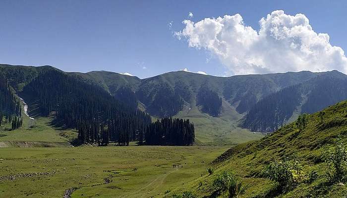 Kupwara is a popular tourist destination known for its lush landscapes and cultural heritage